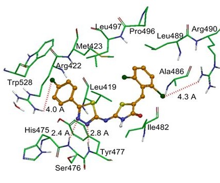 HCV- NS5B inhibitors